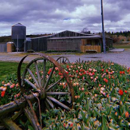 K and R Farms