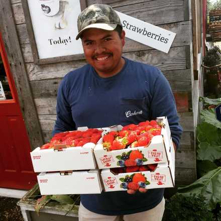 Silva Family Farms