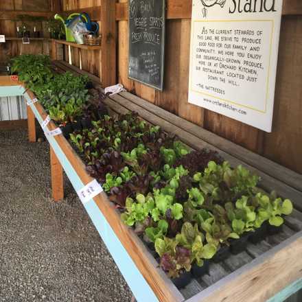 Orchard Kitchen Farm Stand