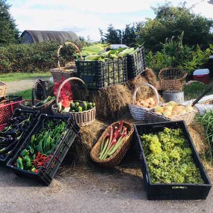 Case Farm
