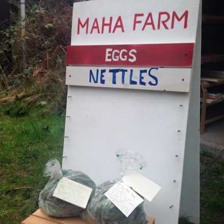 Maha Farm