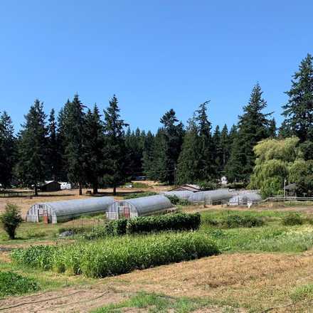 Workin’ Dream Farm